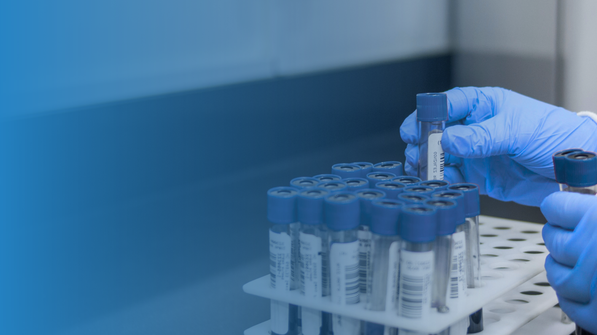 Professional Laboratory Testing